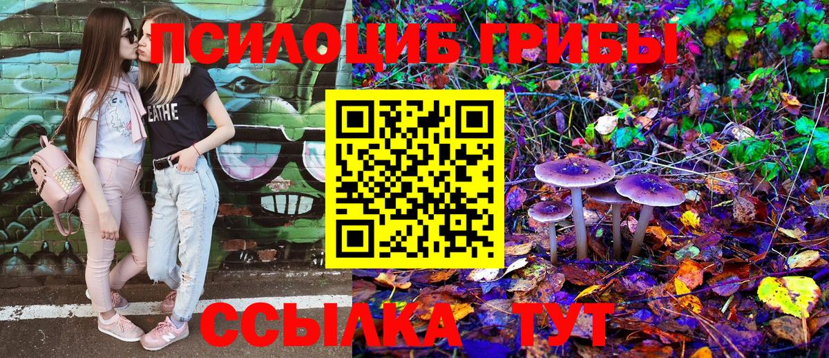 Псилоцибиновые грибы Psilocybe  Артёмовский 