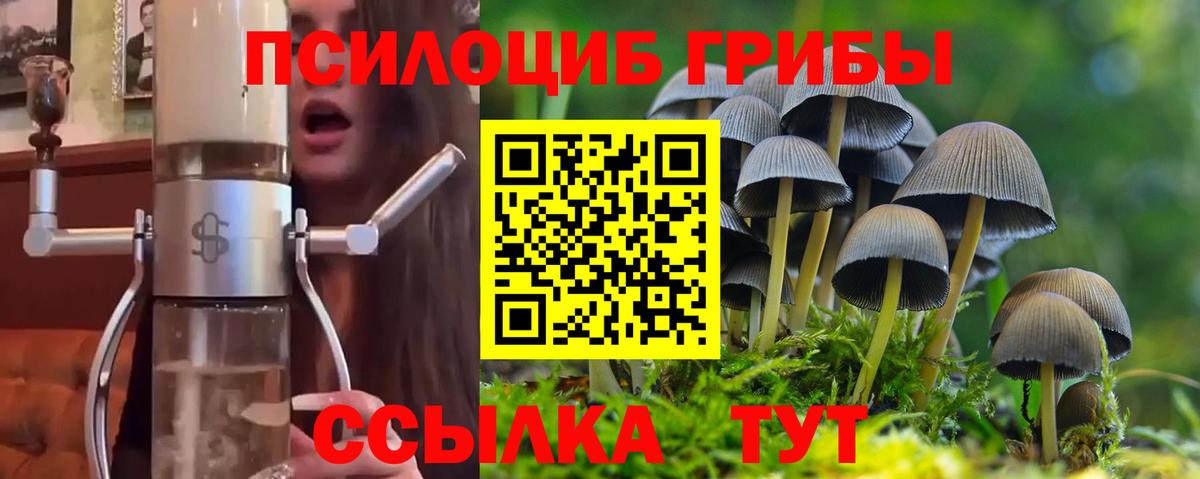 Галлюциногенные грибы Cubensis  Галлюциногенные грибы мицелий  Артёмовский  Вход с VPN 